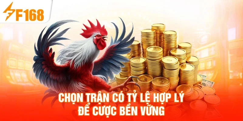 Chọn trận có tỷ lệ hợp lý để cược bền vững