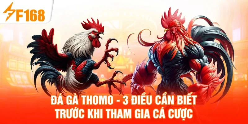 Đá Gà Thomo - 3 Điều Cần Biết Trước Khi Tham Gia Cá Cược