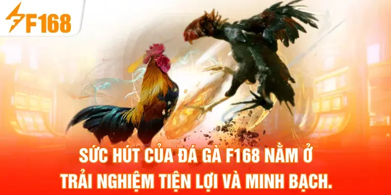 Sức hút của Đá Gà F168 nằm ở trải nghiệm tiện lợi và minh bạch.